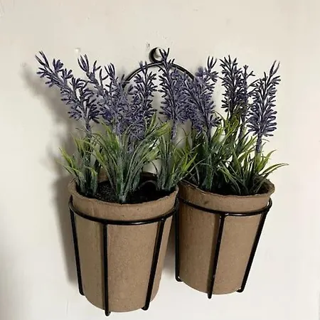 La Maison Des Chevaux * Maulde