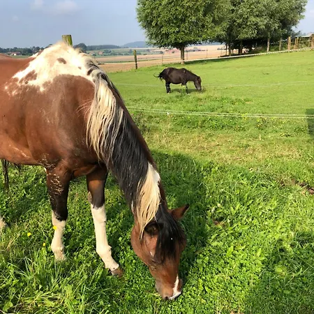Lägenhet La Maison Des Chevaux